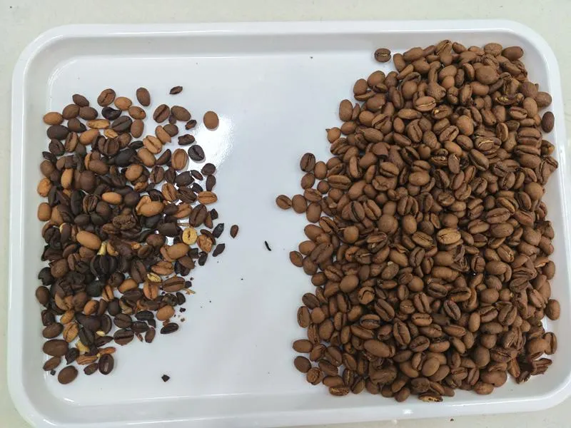 Mesin Sortir Kopi Mini TS-16 - Image 2