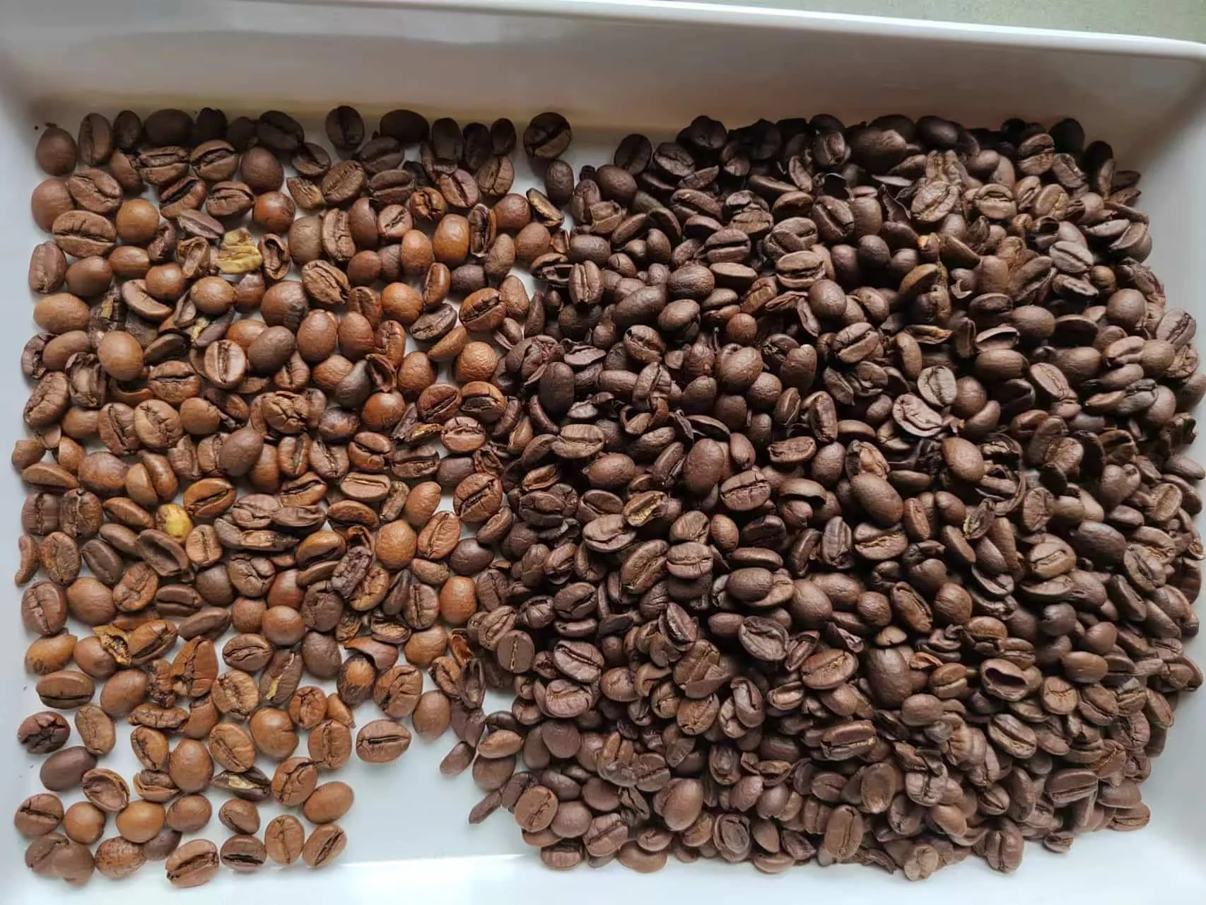 Mesin Sortir Warna Kopi 2 Chute TS2 - Image 3
